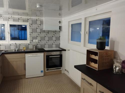 a kitchen with a sink and a dishwasher at Les Petits Cailloux in Saint-Martin-lʼAstier