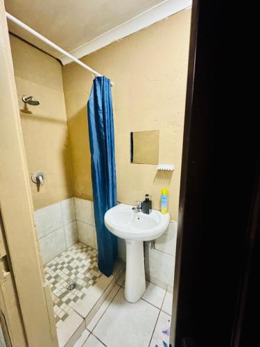 a bathroom with a white sink and a blue shower curtain at Tseleng Guest House in Vosloorus