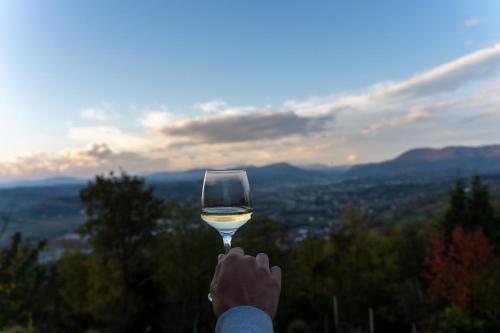 une personne tenant un verre de vin blanc dans l'établissement Ruralna kuća za odmor KOVIN BREG, à Lepajci
