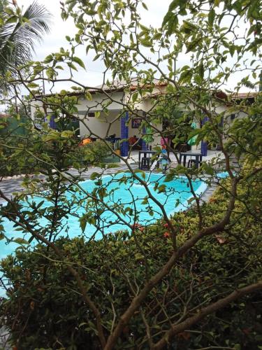 a view of a swimming pool through a tree at Pousada e Hostel F C in Natal