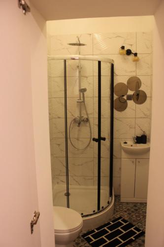 a bathroom with a shower with a toilet and a sink at Szczecin Prawobrzeże Apartament Zajazd in Szczecin