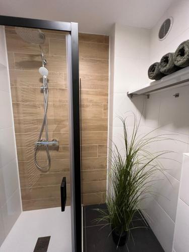 eine Dusche in einem Badezimmer mit einer Pflanze in der Unterkunft Doris in Tielt