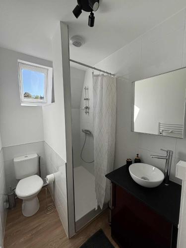 a bathroom with a toilet and a sink and a shower at Appartement moderne proche de l'autoroute in Combronde