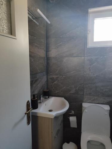 a bathroom with a sink and a toilet and a window at Tommy's Guest House in Konitsa