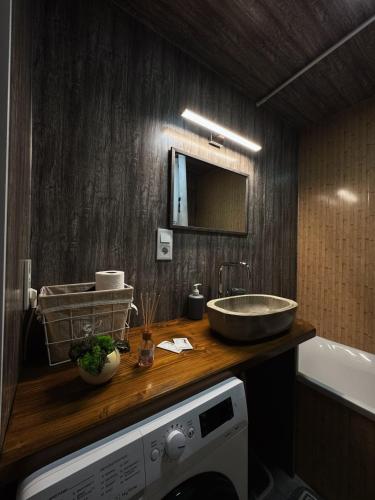 a bathroom with a sink and a washing machine at Welcom Verkhovyna in Verkhovyna
