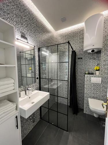 a bathroom with a sink and a shower at Apartment Ksenija in Belgrade