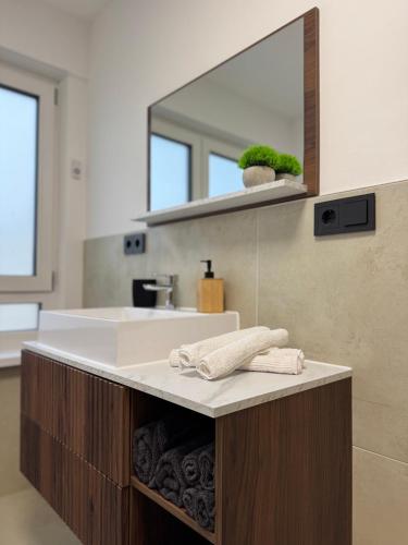 a bathroom with a sink and a mirror at Rednitz Luxus House in Rednitzhembach