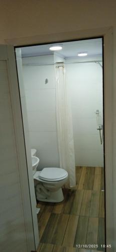a bathroom with a toilet and a shower at Cazartes antiguo in Treinta y Tres