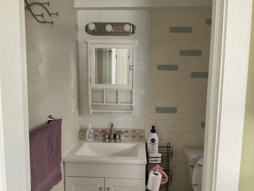 a bathroom with a sink and a mirror and a toilet at Exquisite 1 Bedroom Suite Charming W Private Entry in Framingham