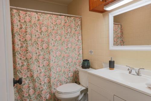 une salle de bain avec un rideau de douche avec des toilettes et un lavabo dans l'établissement Historic Winooski Apartment - Steps from Downtown - Pet Friendly, à Winooski