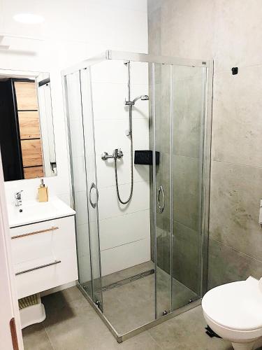 a bathroom with a shower with a sink and a toilet at Apartimento Hydral Viene in Wrocław