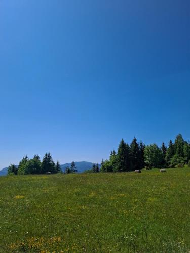 a field with green grass and a blue sky at Cozy Cabin in Sekulić 