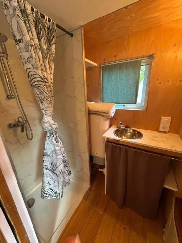 a small bathroom with a shower and a sink at Tiny house chaleureuse en Matheysine in Saint-Jean-de-Vaux