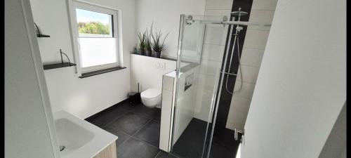 ein Badezimmer mit Glasdusche und Toilette in der Unterkunft M&M AusZeit im Schwabenländle in Winterlingen