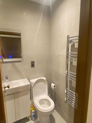 a small bathroom with a toilet and a sink at Newly Furnished, Ensuite Room with a Private Entrance in Colindale