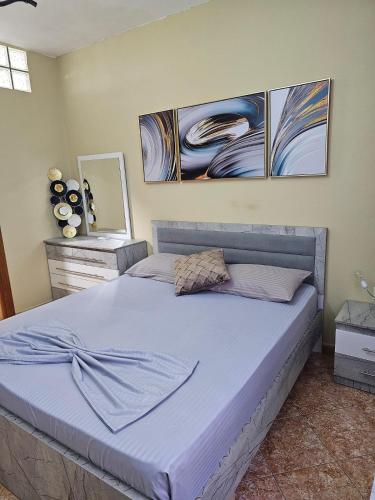 a large bed in a bedroom with paintings on the wall at Roxy's house in Vlorë