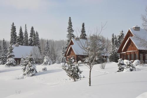 a cabin covered in snow with trees in the background at Chalets Royal Laurentien in Saint-Faustin