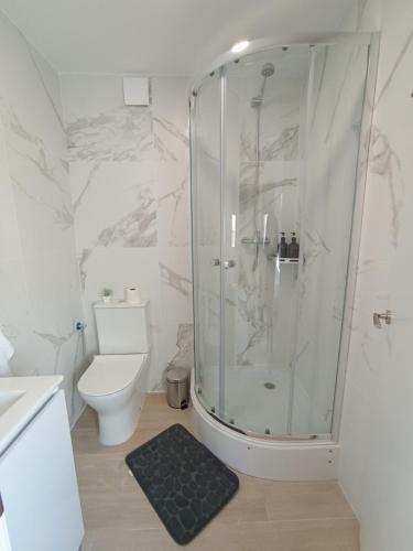 a bathroom with a shower and a toilet at Estudios Diego in Puerto de Sagunto