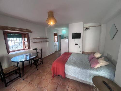 Estudio en el Albayzin