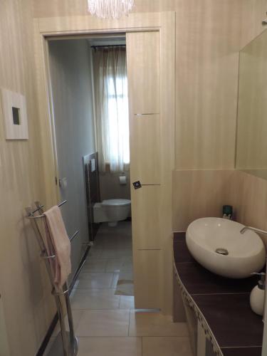 een badkamer met een wastafel en een toilet bij Villa Boemia - apartment in Coriano
