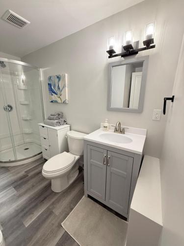 a bathroom with a toilet and a sink and a shower at Second Floor Apartment in Victorian House in Strathroy