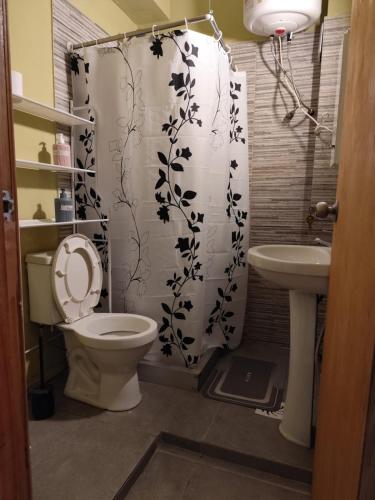 a bathroom with a toilet and a shower curtain at Libertador 4 MVD in Montevideo