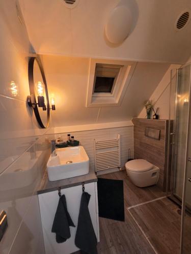 a bathroom with a sink and a toilet at Stay Rijn Tolkamer in Tolkamer