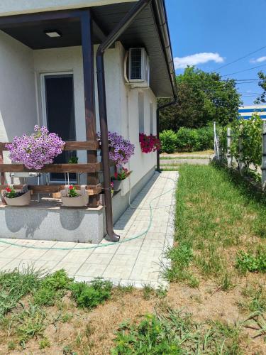 Taman di luar Kuca za odmor SVETI LUKA SIMANOVCI