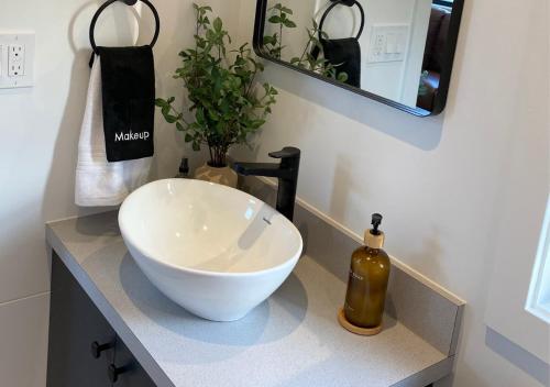 een badkamer met een wastafel op een aanrecht bij Scenic Ridge Haven Firepit, Trails & Views 