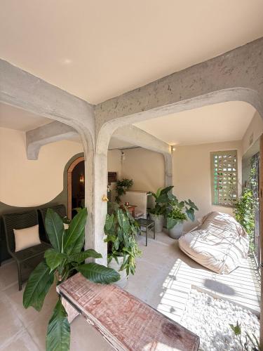 ピパにあるMatteo & Matteo Hostel Boutiqueの植物が多く生えるリビングルーム