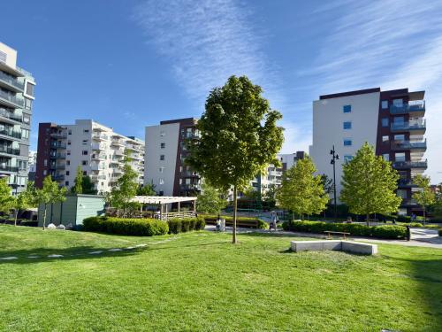 a park with a tree and some buildings at Apartment perfect for work or vacation - kitchen, full bathroom, balcony in Oslo