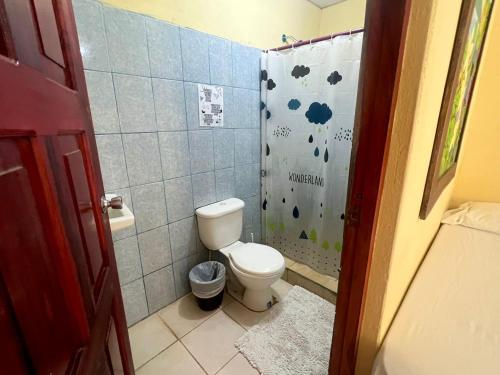 a bathroom with a toilet and a shower at Chill Garrobo in El Gigante
