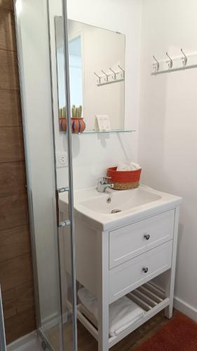 a bathroom with a white sink and a mirror at L'Escale Songeonnaise 25min Aéroport Beauvais-Tillé appt 1 in Songeons
