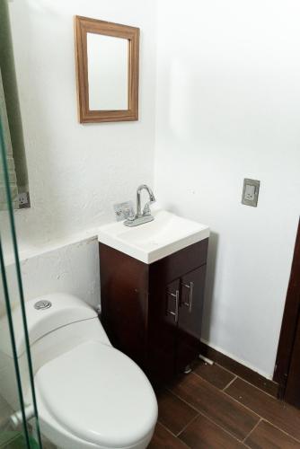 a bathroom with a toilet and a sink and a mirror at Terraza Lotelazo in Guadalajara