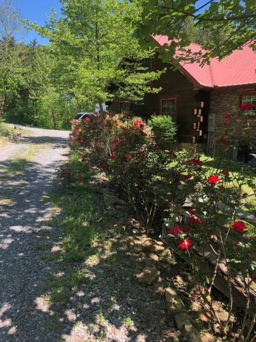 a garden with red flowers in front of a house at Beautiful Secluded Log Cabin in Cleveland