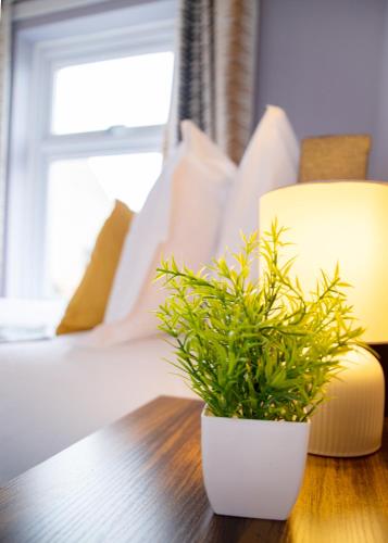 a plant sitting on a table next to a bed at Stylish central location 3 bedroom house in Ely