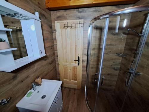 a bathroom with a shower and a sink at Fruškogorske brvnare in Sremski Karlovci