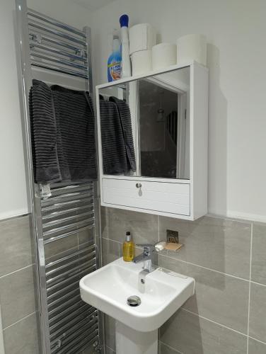a bathroom with a white sink and a mirror at Double Room Roslin Near Edinurgh City in Roslin