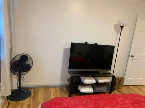 a living room with a flat screen tv and a fan at ArtHaus Downtown Emma Barr Unit 3BR 1BA in Whitehorse