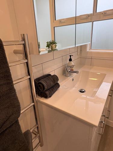 a bathroom counter with a sink and a window at Charming Home in Lower Hutt