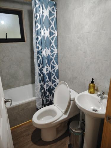 a bathroom with a toilet and a sink at Cabañas Del Monte 2 in Melipeuco