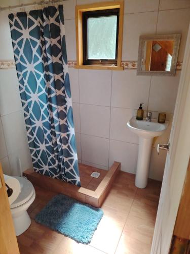 a bathroom with a shower and a toilet and a sink at Cabañas Del Monte 1 in Melipeuco