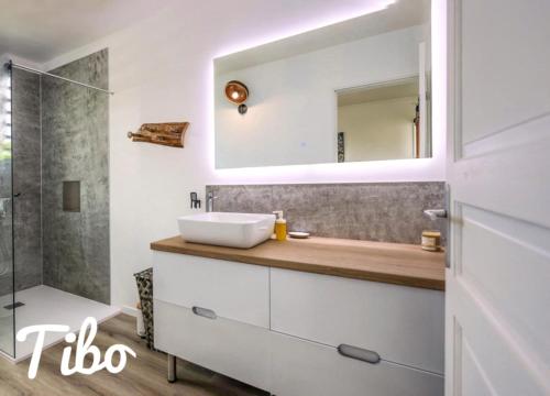 a bathroom with a sink and a mirror at Tibo bas de villa NEUF accès mer in Deshaies