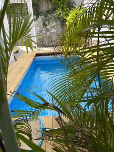 สระว่ายน้ำที่อยู่ใกล้ ๆ หรือใน Boho garden Apt A