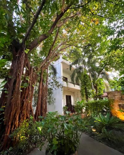 The Moon Residence & Spa — Property building