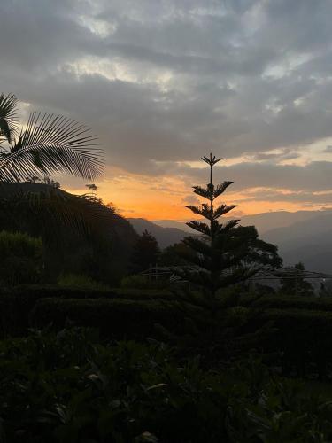 Příroda nedaleko chaty