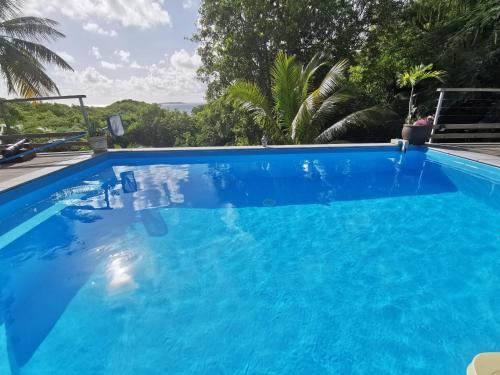 Het zwembad bij of vlak bij Villa Goyave