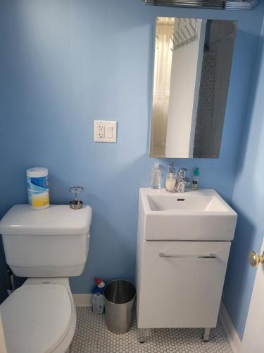 a bathroom with a white toilet and a sink at Garden Apartment Near Northwestern in Evanston