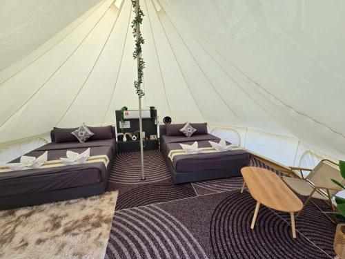 a marquee with two couches in a tent at bira pata glamping in Marang