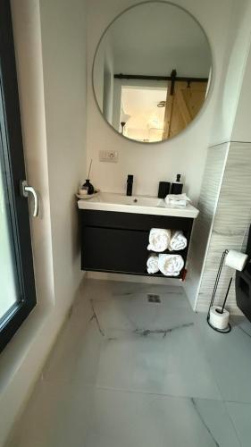 a bathroom with a sink and a mirror at Badash Tiny Village in Polovragi